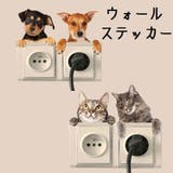 ウォールステッカー 壁紙シール ウォールシール | PlusNao | 詳細画像1