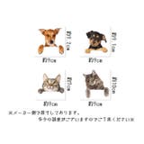 ウォールステッカー 壁紙シール ウォールシール | PlusNao | 詳細画像9