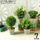 フェイクグリーン 人工観葉植物 造花 | PlusNao | 詳細画像1