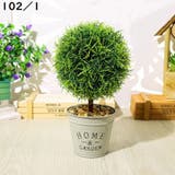 フェイクグリーン 人工観葉植物 造花 | PlusNao | 詳細画像10