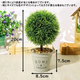フェイクグリーン 人工観葉植物 造花 | PlusNao | 詳細画像11