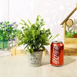 フェイクグリーン 人工観葉植物 造花 | PlusNao | 詳細画像3
