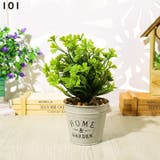 フェイクグリーン 人工観葉植物 造花 | PlusNao | 詳細画像8