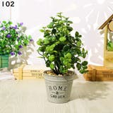 フェイクグリーン 人工観葉植物 造花 | PlusNao | 詳細画像9