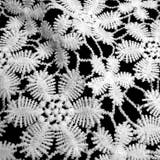 ネックラインレース 手芸用つけ襟 手芸材料 | PlusNao | 詳細画像8 