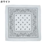 スカーフ レディース 54cm角 | PlusNao | 詳細画像4 