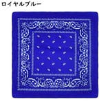 スカーフ レディース 54cm角 | PlusNao | 詳細画像7 