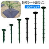 除草シート固定ピン 100本セット 防草シート用 | PlusNao | 詳細画像1
