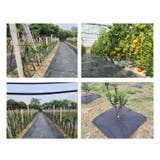 除草シート固定ピン 100本セット 防草シート用 | PlusNao | 詳細画像4
