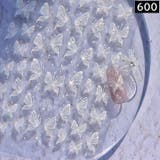 ネイルシール ネイルパーツ ネイルアートステッカー | PlusNao | 詳細画像19 