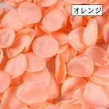 フラワーシャワー 花びら 100枚セット | PlusNao | 詳細画像12