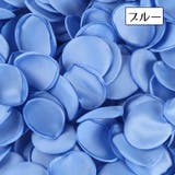 フラワーシャワー 花びら 100枚セット | PlusNao | 詳細画像13