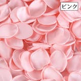 フラワーシャワー 花びら 100枚セット | PlusNao | 詳細画像15
