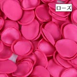 フラワーシャワー 花びら 100枚セット | PlusNao | 詳細画像17