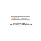 カメラストラップ ショルダーストラップ ネックストラップ | PlusNao | 詳細画像10