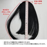 ポイントウィッグ 前髪ウィッグ 部分ウィッグ | PlusNao | 詳細画像17