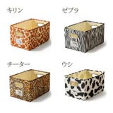 収納ケース 小物収納 収納ボックス | PlusNao | 詳細画像19 