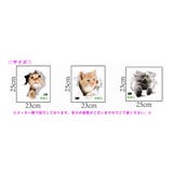 ウォールステッカー 壁紙シール 面白い | PlusNao | 詳細画像10 