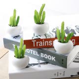 マグネット 多肉植物 サボテン | PlusNao | 詳細画像15