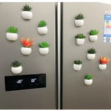 マグネット 多肉植物 サボテン | PlusNao | 詳細画像4