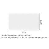 フェイスタオル ハンドタオル バス用品 | PlusNao | 詳細画像14 