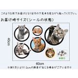 ウォールステッカー トリックアート 3D | PlusNao | 詳細画像8 