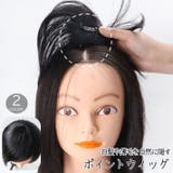 ポイントウィッグ レディース 女性用 | PlusNao | 詳細画像1