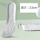 シークレットインソール 中敷き 1足 | PlusNao | 詳細画像17