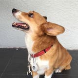 AirTag保護ケース AirTagカバー 無地 | PlusNao | 詳細画像6