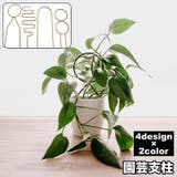 園芸支柱 植物支柱 ガーデニング | PlusNao | 詳細画像1