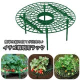 イチゴ栽培用ラック いちごスタンド イチゴ支え棚 | PlusNao | 詳細画像1