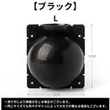 植物発根ボックス 植物発根ボール 取り木ボール | PlusNao | 詳細画像10