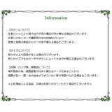 ウォールステッカー壁紙 シール 植物 | PlusNao | 詳細画像10