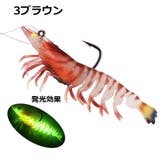 エビワーム 単品 ソフトルアー | PlusNao | 詳細画像14