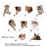 ウォールステッカー 壁紙シール 壁装飾 | PlusNao | 詳細画像9