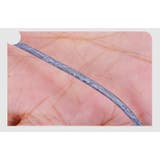 魚網 捕獲網 沈め釣りネット | PlusNao | 詳細画像13 