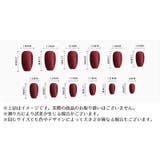 ネイルチップ 手の爪用 ベージュ系 | PlusNao | 詳細画像6