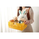 コンテナ 折りたたみ式 コンテナボックス | PlusNao | 詳細画像2 
