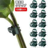 園芸用クリップ 植物クリップ 100個入り | PlusNao | 詳細画像1