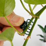 園芸用クリップ 植物クリップ 100個入り | PlusNao | 詳細画像2