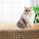 侵入防止ボード 12枚入り 猫 | PlusNao | 詳細画像3 