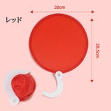 扇子 せんす うちわ | PlusNao | 詳細画像6
