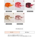 靴ひも 靴紐 2本セット | PlusNao | 詳細画像20