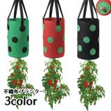 不織布プランター スカイプランター 植木鉢 | PlusNao | 詳細画像1