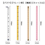 ウォールステッカー ウォールシール 身長計 | PlusNao | 詳細画像15 