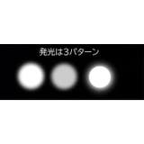 懐中電灯 LED ライト | PlusNao | 詳細画像9 