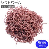 ソフトワーム ソフトルアー 50個セット | PlusNao | 詳細画像1 