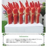ボールペン 可愛い おしゃれ | PlusNao | 詳細画像17
