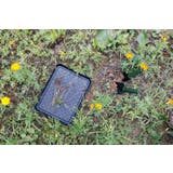 シューズトレイ シューズボックス 3枚セット | PlusNao | 詳細画像8 