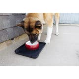 シューズトレイ シューズボックス 3枚セット | PlusNao | 詳細画像9 